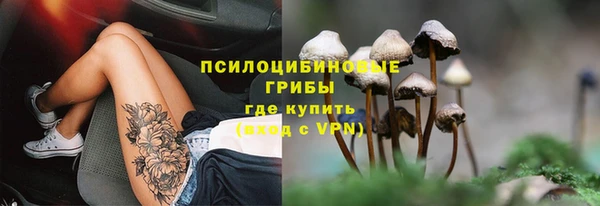 марихуана Абаза