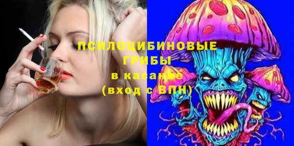 соль ск Нефтекумск