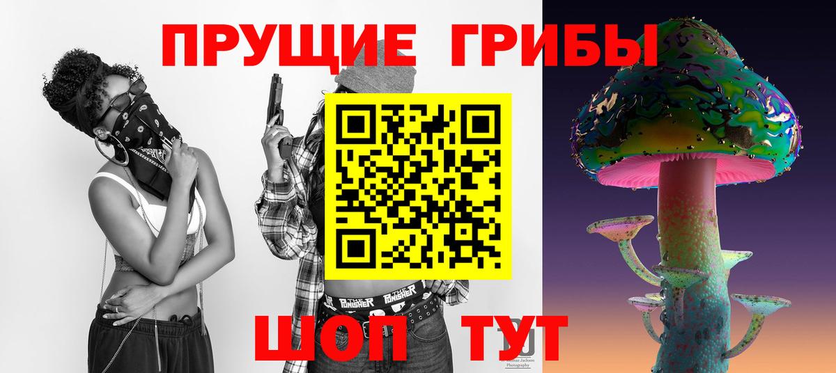 Галлюциногенные грибы Cubensis Кисловодск